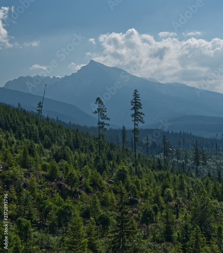 Krivan in HIgh Tatras from lower part of Bystra dolina valley in Western Tatras mountains in Slovakia