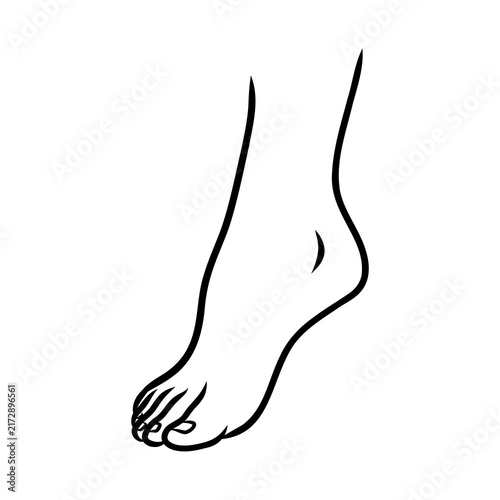 Konstfotografi Line Art Foot Illustration Isolated