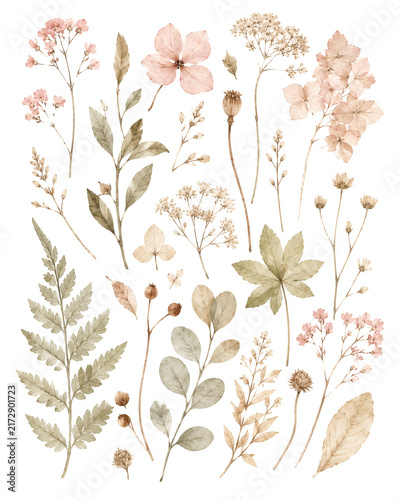 Delicate Watercolor Botanical Elements Softly Rendered Wildflowers Ferns and Seed Pods Evoking Rustic Charm and Natural Beauty for Artisanal Designs and Vintage Aesthetics