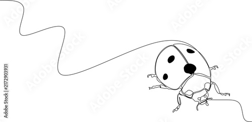 Continuous one line drawing of ladybug, cute insect beetle animal concept vector illustration