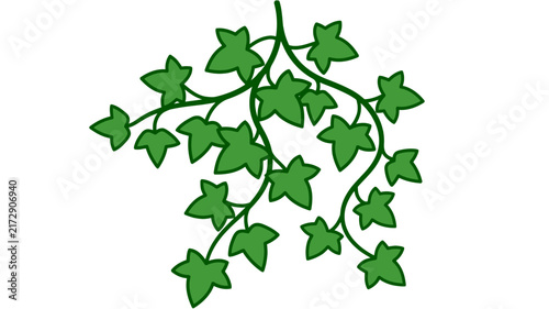 Green ivy plant hanging with vines and leaves isolated on white background