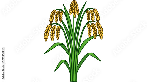 Vector illustration of ripe rice stalks with golden grains and green leaves isolated on white background