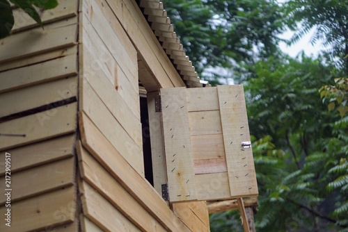 Simple wooden shutter window opened on a plank wall cabin house in the forest area.