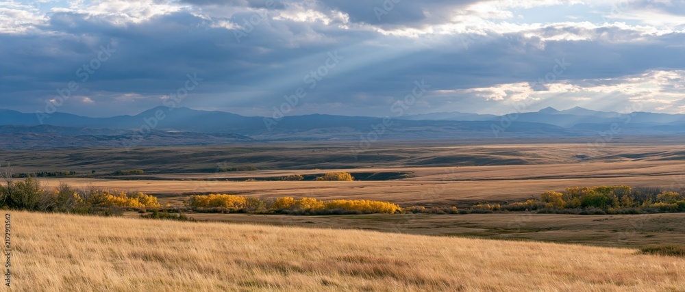 Obraz premium The Golden Prairie Under Dramatic Sky with Sunbeams and Distant Mountains