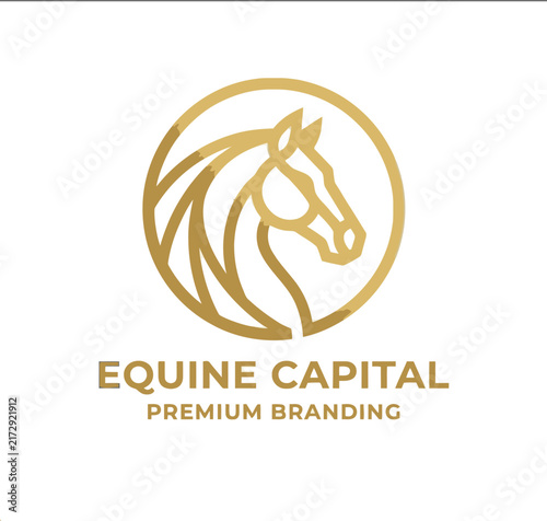 Gold horse head logo design for premium equine capital brand.