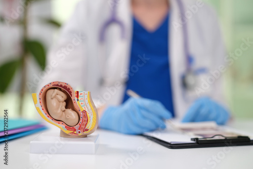 Bild auf Leinwand Fetal model medical professional writing, in clinic or office setting, with fetal model, medical professional's uniform, stethoscope, clipboard with pen, with white, blue accents, nearby objects