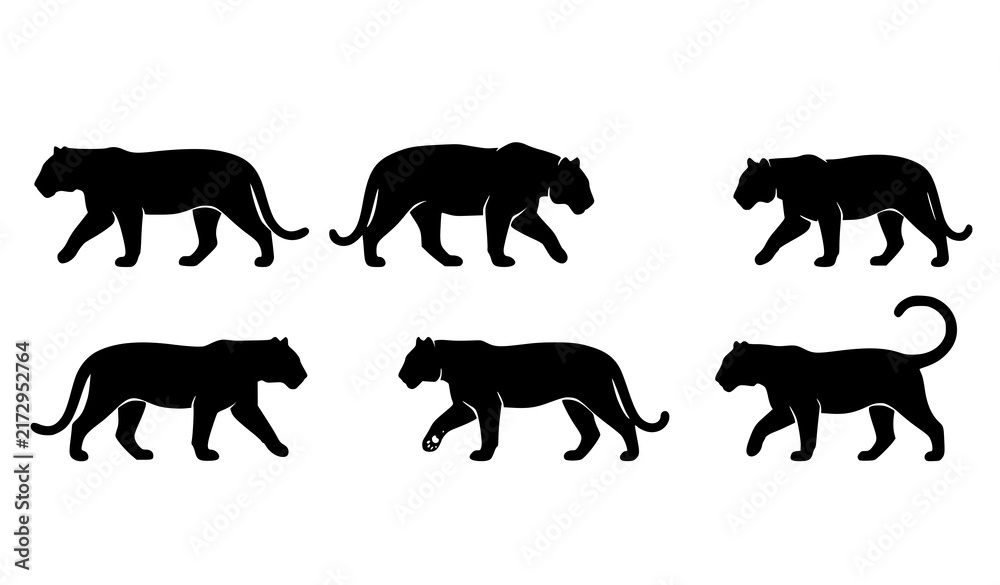 Fototapeta premium Tiger Animal Walking Outline and Silhouette Vector Set
