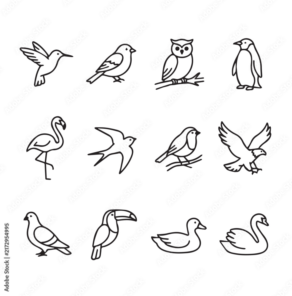 Obraz premium Clean line drawings of diverse bird species on a white background illustrating biodiversity and nature concepts