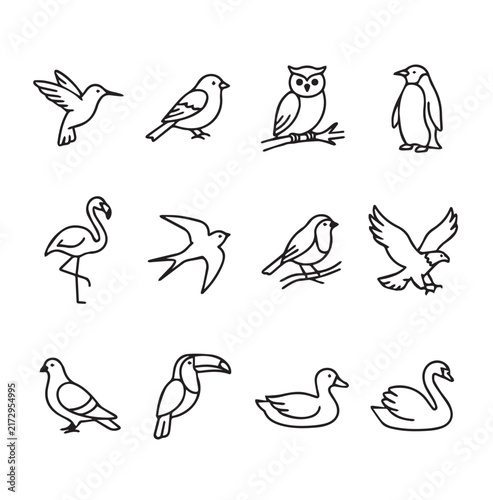 Clean line drawings of diverse bird species on a white background illustrating biodiversity and nature concepts
