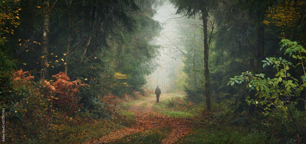 Fototapeta premium Hiker walking on a path in the majestic beauty of a misty autumn forest towards the fog in the distance