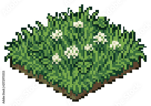 Obraz na plátně Pixel art pixelated grass patch with white flowers isometric view