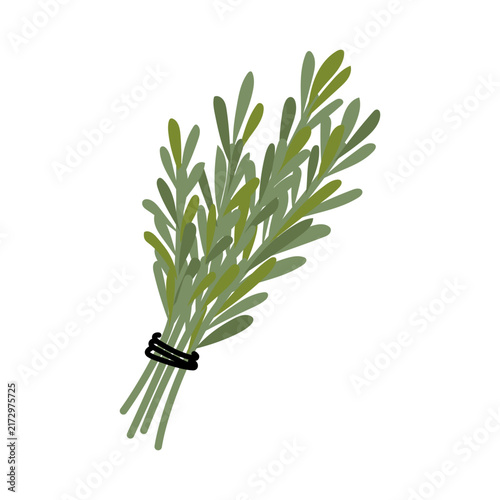Cute flat illustration of a tied bundle of fresh green rosemary sprigs isolated on white background for kitchen herb spice packaging design