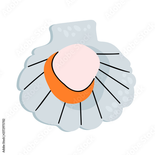 Cute flat illustration of an open grey scallop shell with orange clam meat isolated on white background for seafood restaurant menu design