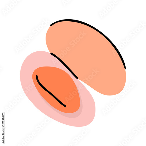 Cute flat illustration of an open pink clam shell with vongole meat isolated on white background for seafood menu design and kitchen decor