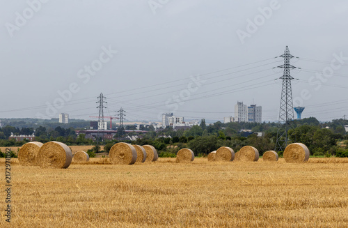 Round straw bales in a harvested field with power lines and city buildings in the background, agriculture and urban coexistence concept