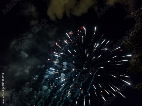 Obraz na płótnie Fuegos artificiales dorados y destellos rojos iluminan el cielo nocturno en una espectacular exhibición pirotécnica de celebración