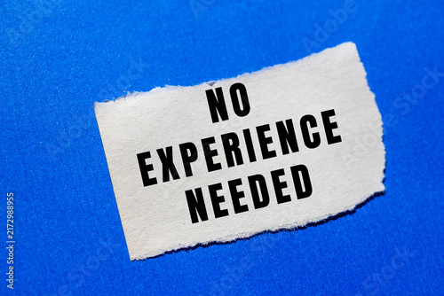 Quadro su tela No Experience Needed text concept photo