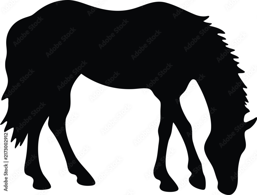 Fototapeta premium Black silhouette of a horse grazing, isolated vector illustration on white background