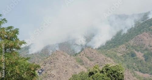 Wildfire in Serbia, Europe during Summer heatwave