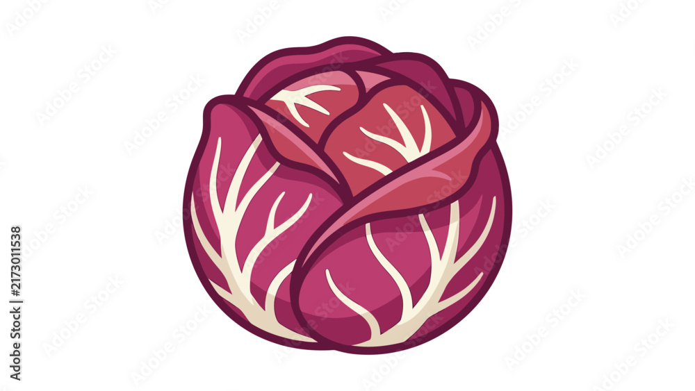 Fototapeta premium Red Cabbage Flat Vector Illustration