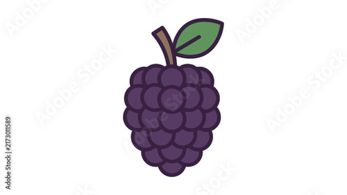 Blackberry Fruit Vector Illustration
