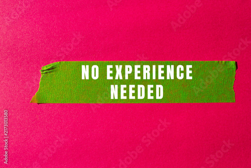 Quadro su tela No Experience Needed text concept photo