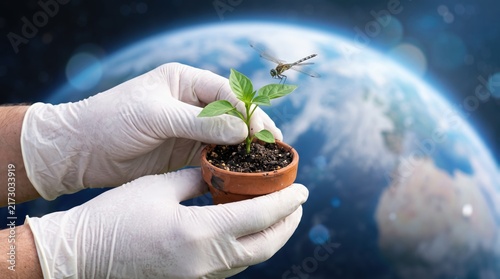 Female hands gently holding a clear crystal ball reflecting the blue sky and white clouds, symbolizing future prediction, fortune telling, hope, clarity of vision