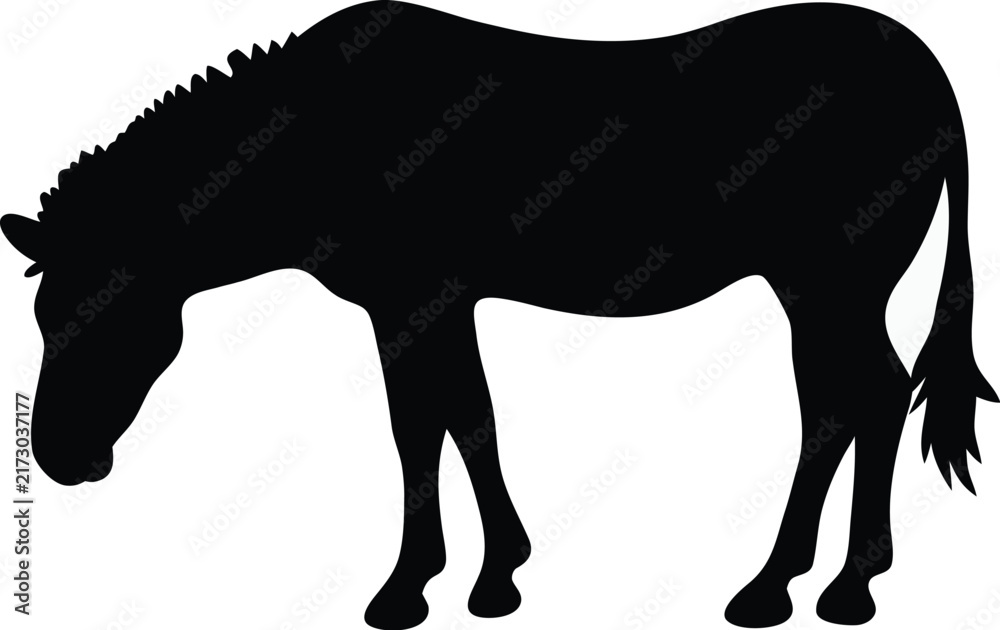 Fototapeta premium Black silhouette of a grazing zebra, isolated vector illustration on white background