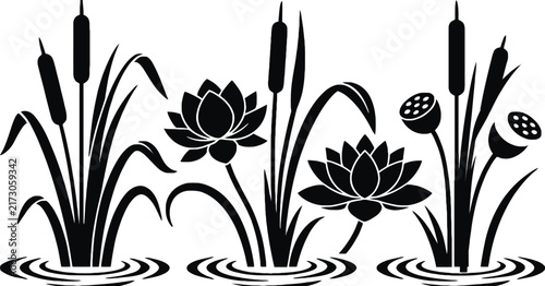 Black silhouette of lotus flowers, cattails, and lily pads in water, isolated on a white background, nature