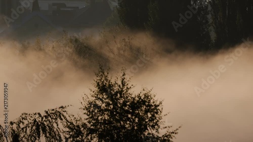 Dense, eerie fog swirling through silhouetted trees in a dark, moody forest, creating a mysterious and spooky atmosphere during a misty morning or evening in an enigmatic nature setting