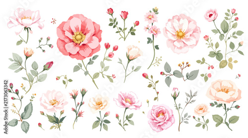 Soft pink watercolor peony clip art set isolated botanical elements for invitation card decoration vector