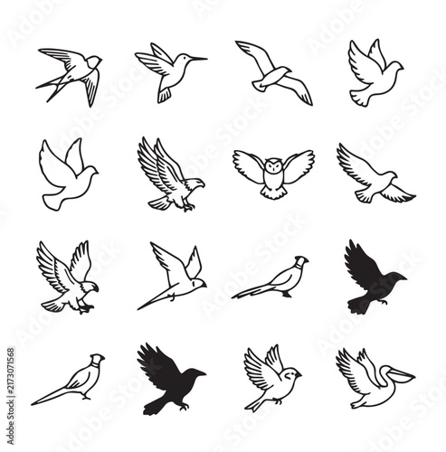 Diverse outline birds in flight and perched during daytime symbolizing freedom and nature concepts with minimalist graphic style