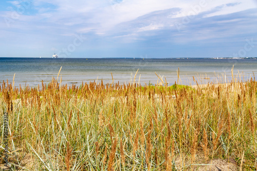 Scenic coastal view of the Baltic Sea from a seaside promenade in Tallinn, Estonia, featuring sandy beach dunes covered with sea lyme grass (Leymus arenarius) and a distant ferry on the horizon.
