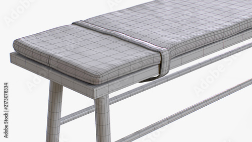 Wooden Bench with Cushion 3D Rendering 