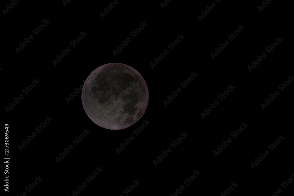 Fototapeta premium moon in the night sky