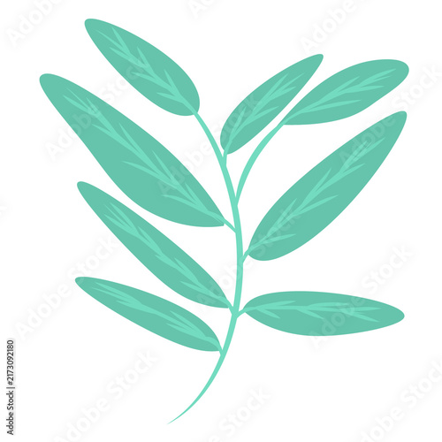 Blue Green Leafy Branch Botanical Illustration