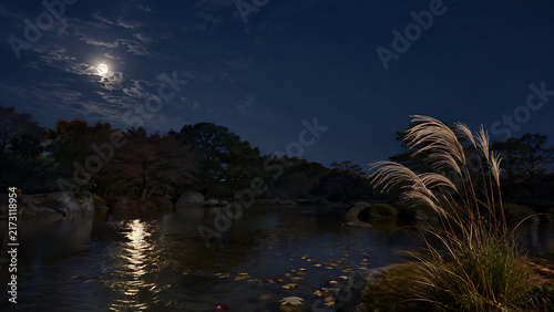 Fototapeta 静かな秋の夜に月明かりを映す池とススキ