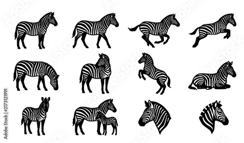 SEO Title:
Premium Zebra Animal Silhouette Wildlife Logo and Icon Vector Collection
