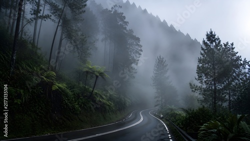 Winding asphalt road passing through misty mountain forest enveloped in thick fog