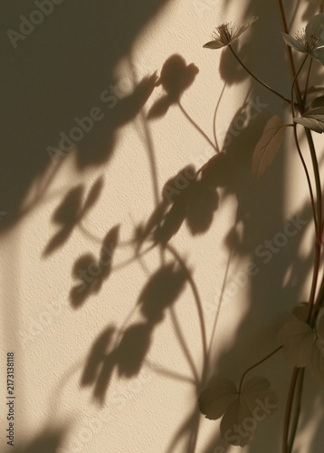 Close-up of a plant with white flowers and green leaves. the plant is casting long shadows on a beige wall. the leaves are arranged in a symmetrical pattern, creating a sense of depth and dimension.