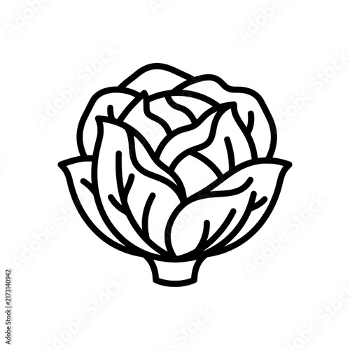 Fresh cabbage head with layered curly leaves outline line art vector icon