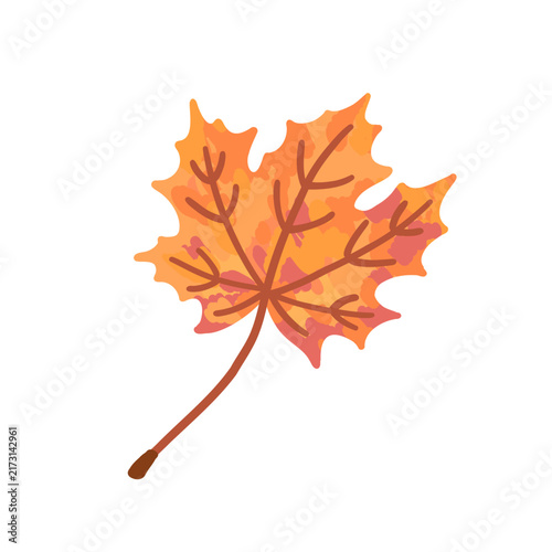 Autumn maple tree leaf. Orange, yellow, red color golden fall foliage. Seasonal decorative design element. Botanical, natural clipart. Isolated flat vector illustration