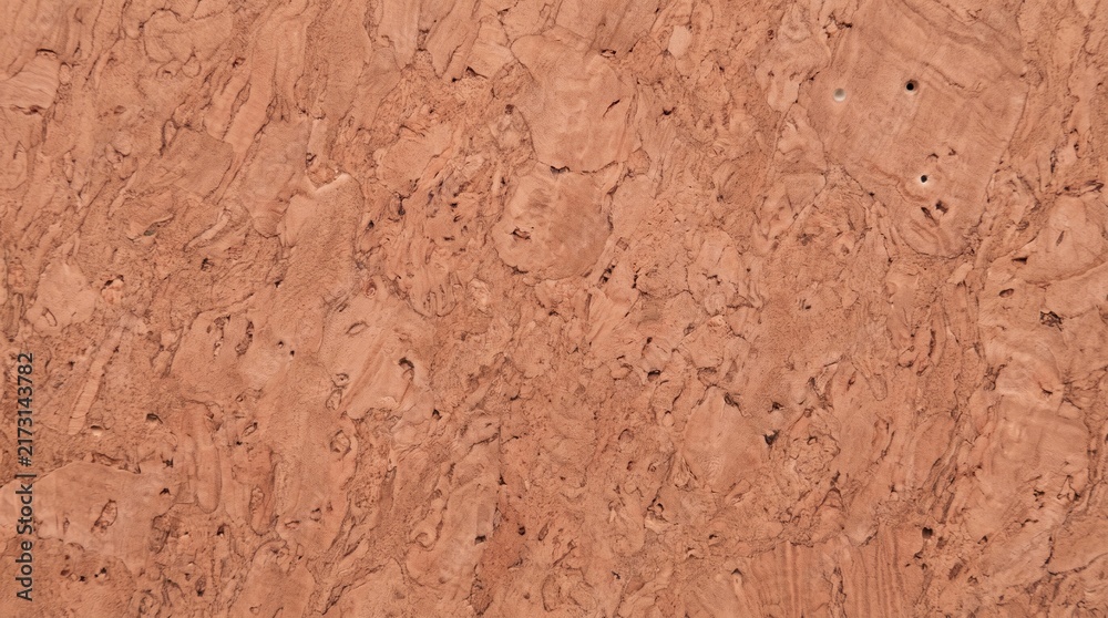 Fototapeta premium Natural cork texture background, detailed brown organic material surface for design projects.
