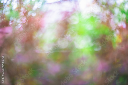 Soft pastel color bokeh lights creating an abstract, blurry background, featuring gentle pink, green, and purple hues with a smooth texture for design elements