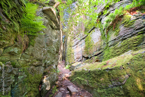 Borrås Skåra narrow gorge near Väröbacka, Sweden