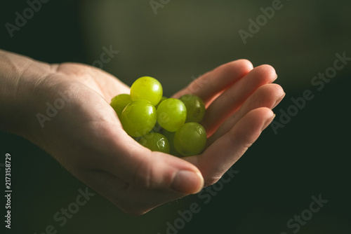 Hand gently presenting a handful of vibrant green grapes, symbolizing concepts of abundance, healthy eating, sharing, and freshness, with a soft, natural light emphasizing their crisp texture
