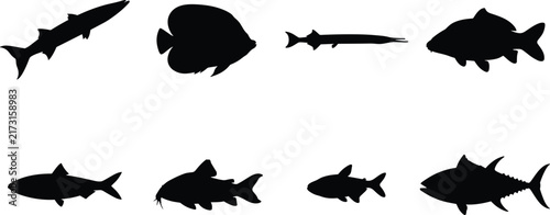 Black Shark and Fish Silhouettes Collection Isolated Marine Animals and Ocean Wildlife