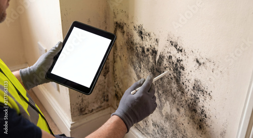 closeup wall mold inspection building inspector holding blank screen tablet property damage assessment indoor air quality check real estate home survey toxic black fungus remediation professional cont