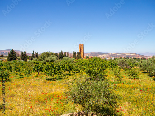Foto El Mansourah – Tlemcen, Algeria
Discover El Mansourah, one of Tlemcen’s most iconic historical sites in Algeria