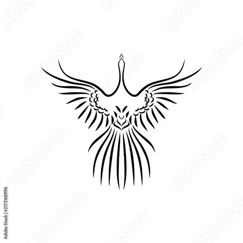 bird or phonix or eagle line vector logo